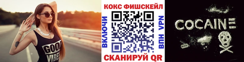 Купить закладки  Весьегонск  COCAIN Fish Scale 