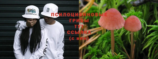 каннабис Касимов