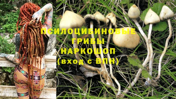 стаф Карталы