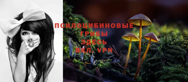 стаф Карталы